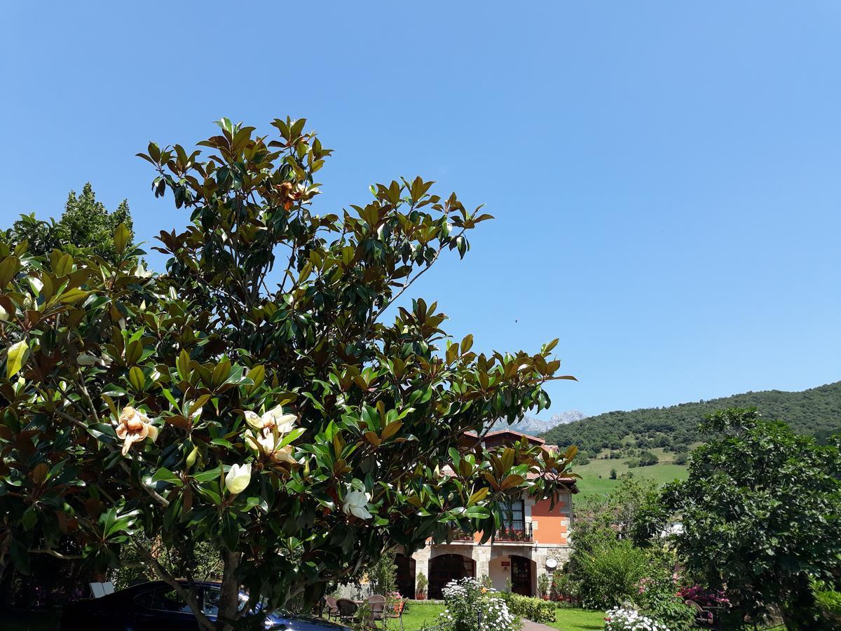 Posada Laura Potes Εξωτερικό φωτογραφία